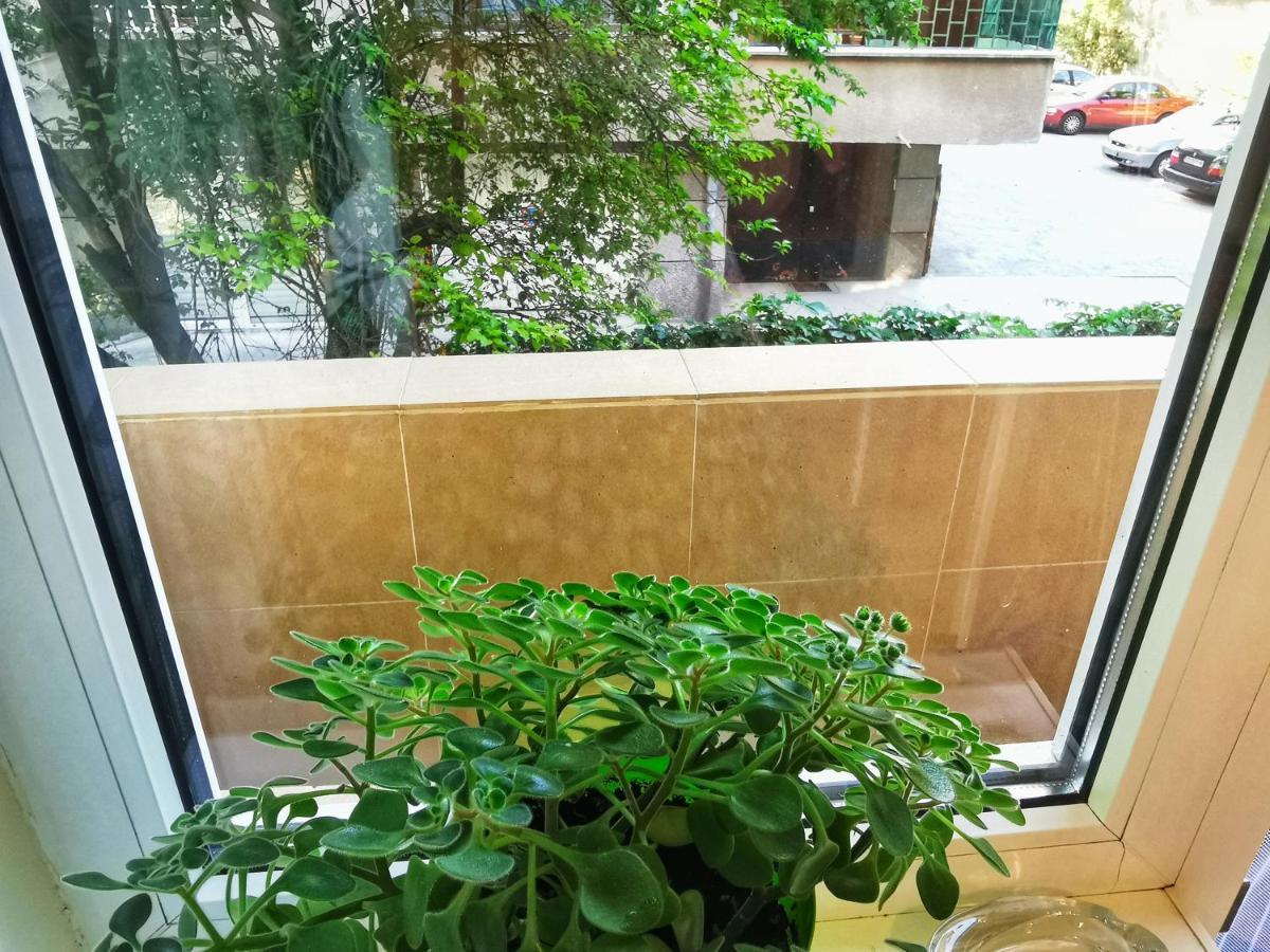 Rila Apartment Sofia Bagian luar foto